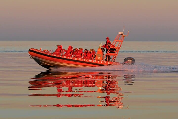 Sunset Zodiac Tour