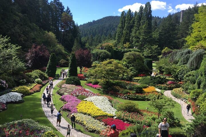 Private Tour Countryside Drive to Butchart Gardens & Victoria