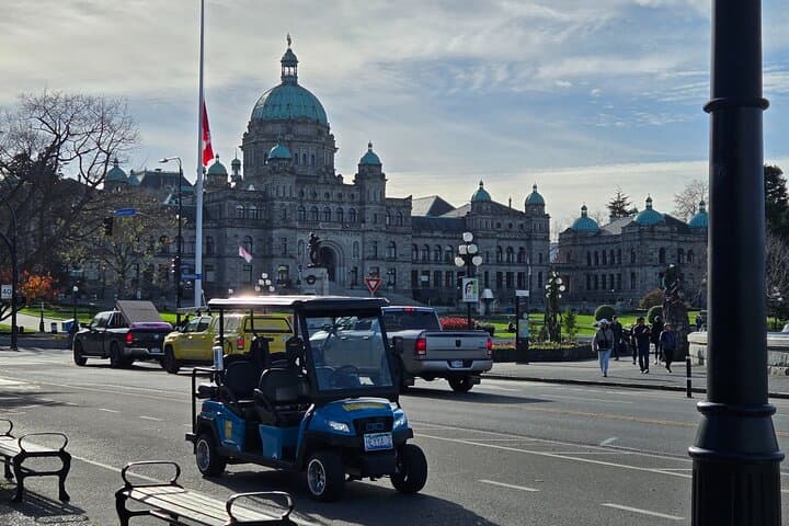 Street Legal Golf Cart Rentals in Victoria