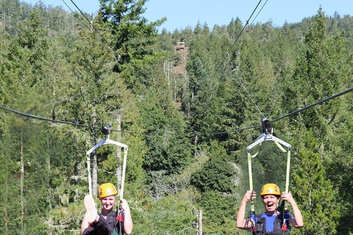 The Big Zip Experience