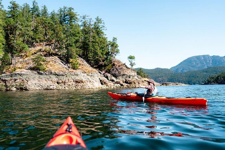 Campbell River: Kayaking and Whale Watching Tour