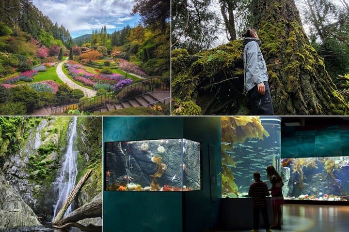 Victoria; Butchart Gardens, Aquarium and Rainforest Giant Trees