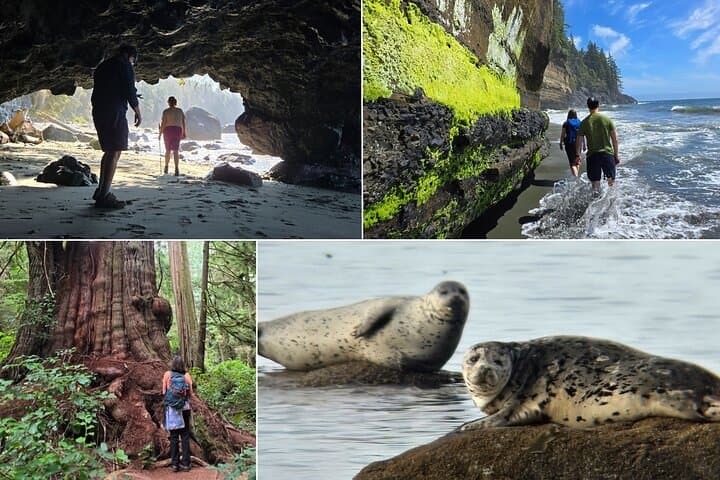 West Coast Wildlife Rainforest Waterfall and Beaches