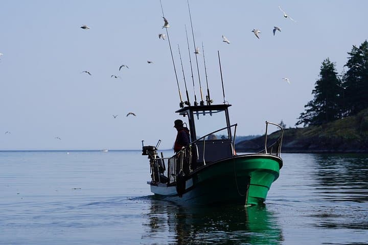 Campbell River - Fishing charters: Family-friendly & affordable