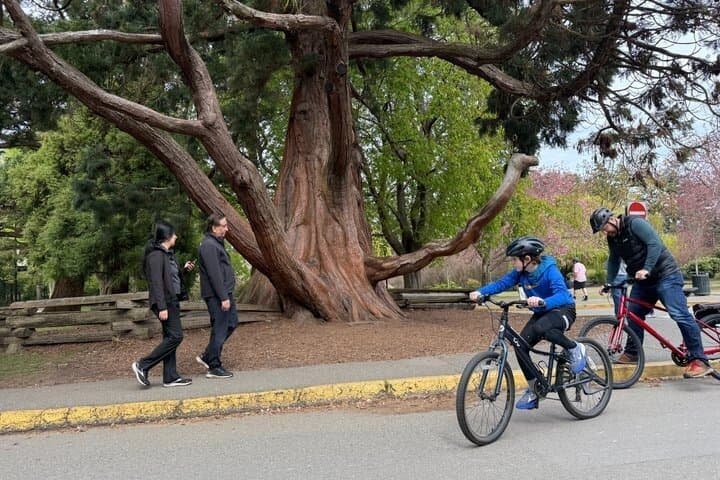Explore Victoria Scenic Paths With a Bike Rental from Cruise Port