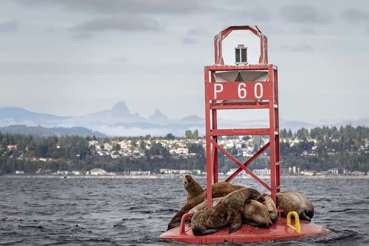 Campbell River - Private Boat Tour