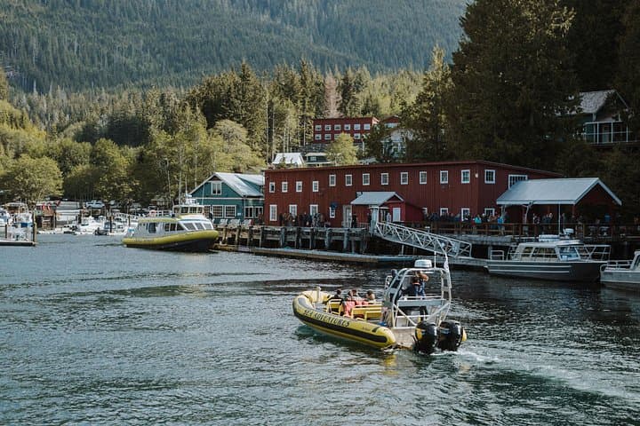 Vancouver Island Zodiac Whale Watching Adventure - Telegraph Cove