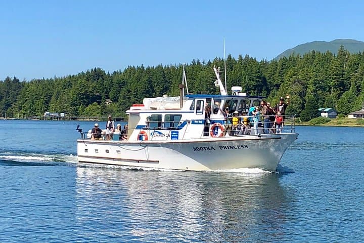 Whale watching & sightseeing tour in Ucluelet, Vancouver Island