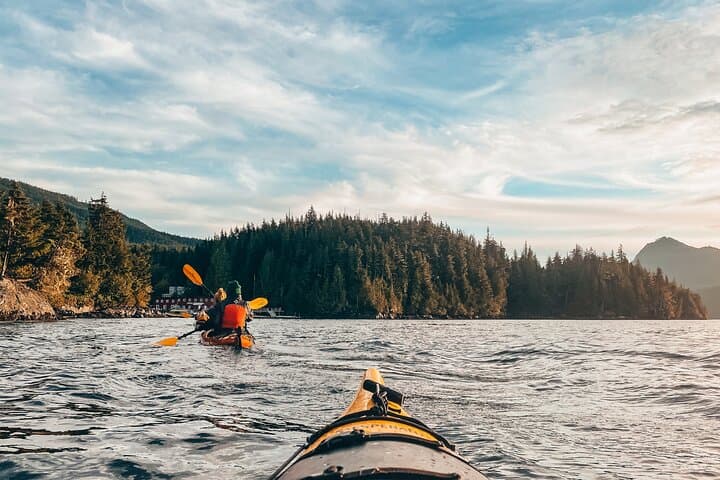 Vancouver Island: Half-Day Kayak Tour from Telegraph Cove