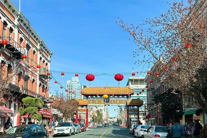 Victoria City Highlights: Chinatown, Craigdarroch Castle (1-9pax)