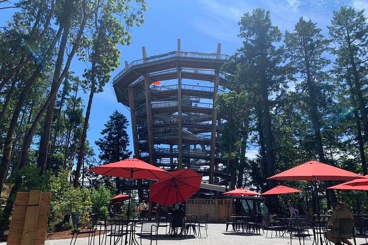 Victoria Day trip with Butchart Garden and Malahat Skywalk