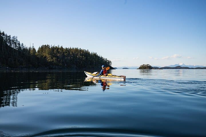 Vancouver Island: 2-Hour Guided Kayak Tour from Telegraph Cove