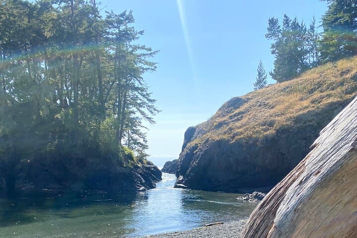 East Sooke Park Private Guided Coastal Hike – Trap Shack Route