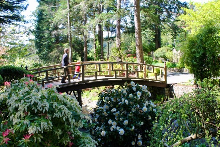 Family Tour in Victoria: Fun and Adventure for all ages
