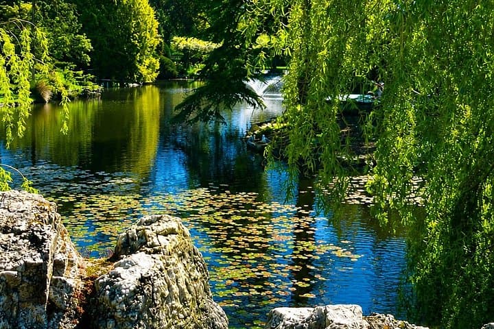 3hr Beacon Hill Park, Chinatown, Craigdarroch Castle tour(1-9pax)