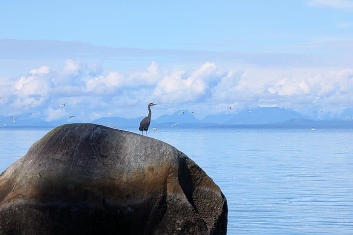 Seal Bay Nature Walk