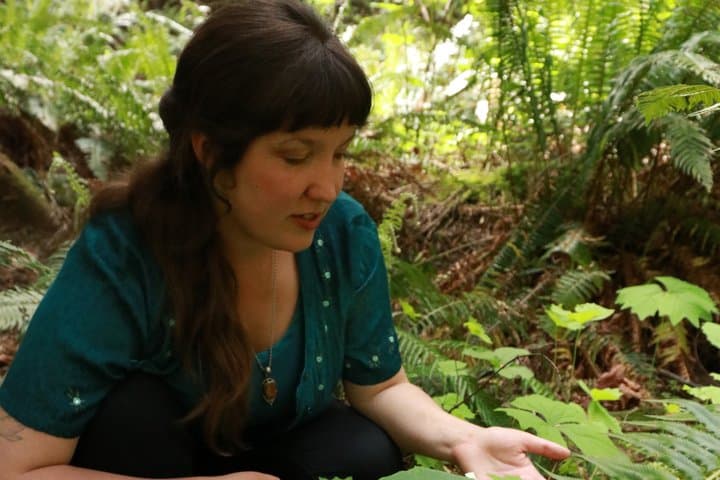 Denman Island Guided Ecology and Forest Walk